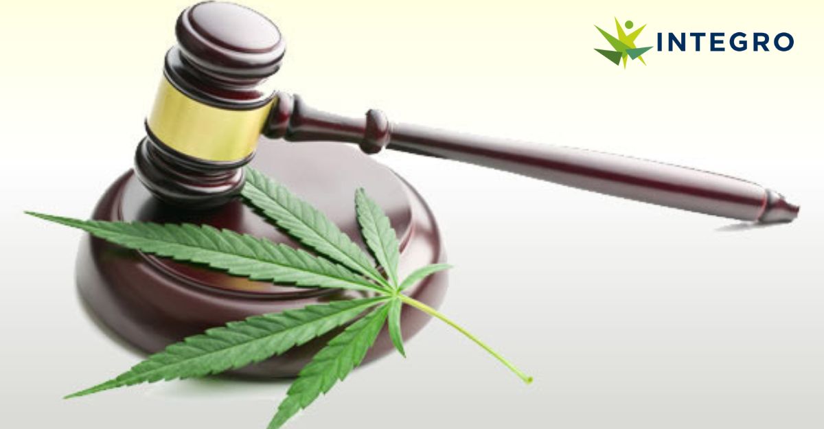 What is the Medical Cannabis (Access) Bill? | Criminal Law Blog