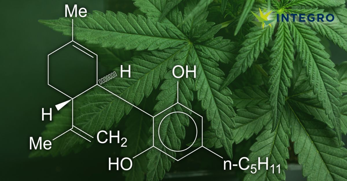 Cannabis (Marijuana) and Cannabinoids: What You Need To Know