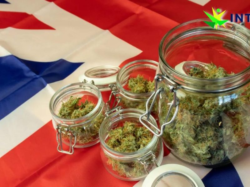 Why won't the UK prescribe medical cannabis?