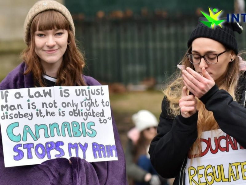 Cannabis Patients in the United Kingdom Are Granted Faster Access To Their Medicine
