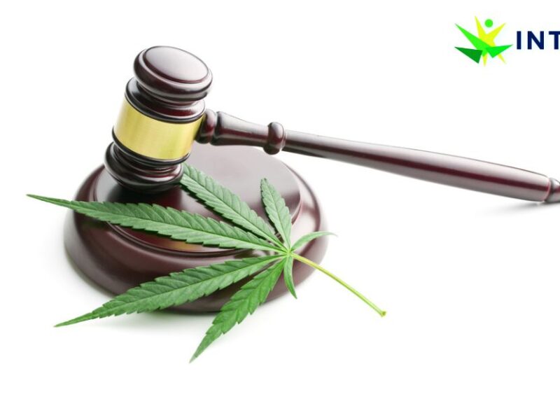 Navigating Legalization: What You Need to Know About Medical Cannabis Laws
