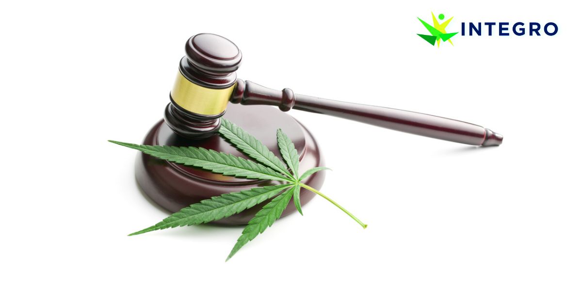 Navigating Legalization: What You Need to Know About Medical Cannabis Laws