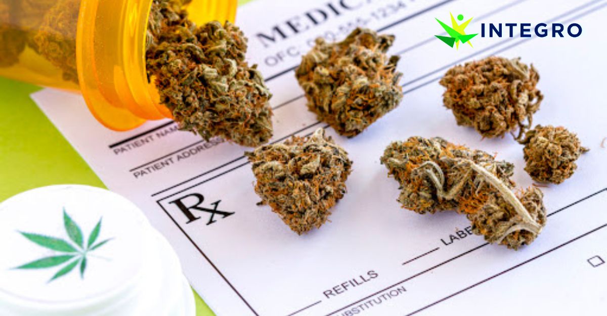 Navigating the World of Cannabis Prescriptions: A Patient's Guide