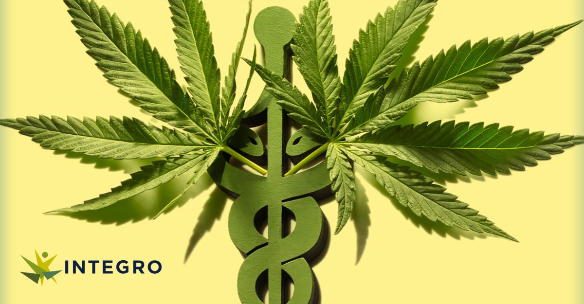 Discovering the Truth: 4 Key Facts About Medical Cannabis