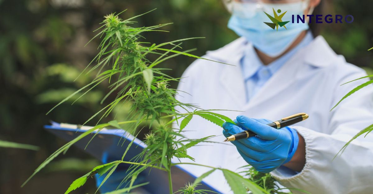 Medical Cannabis Awareness Week 2023: A Comprehensive Guide