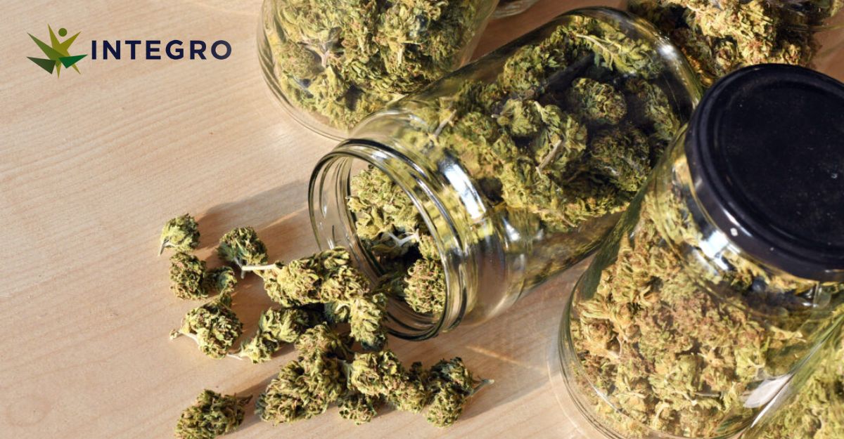 Releaf: Removing the Stigma Around Medical Cannabis