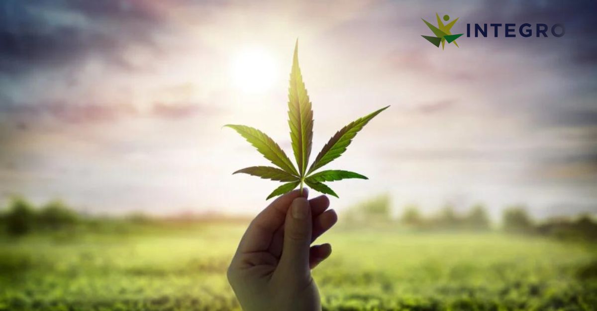 Behind the Leaf: Debunking 5 Medical Cannabis Myths