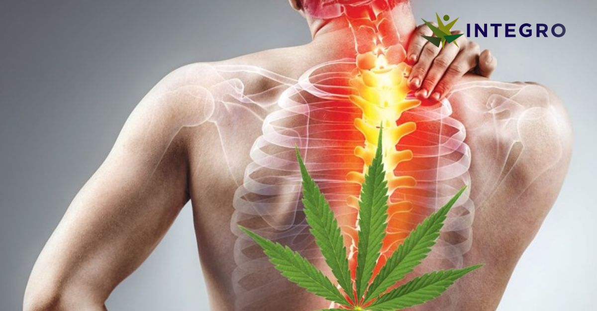 Breaking the Chains: Defeating Chronic Pain with the Aid of Medical Cannabis