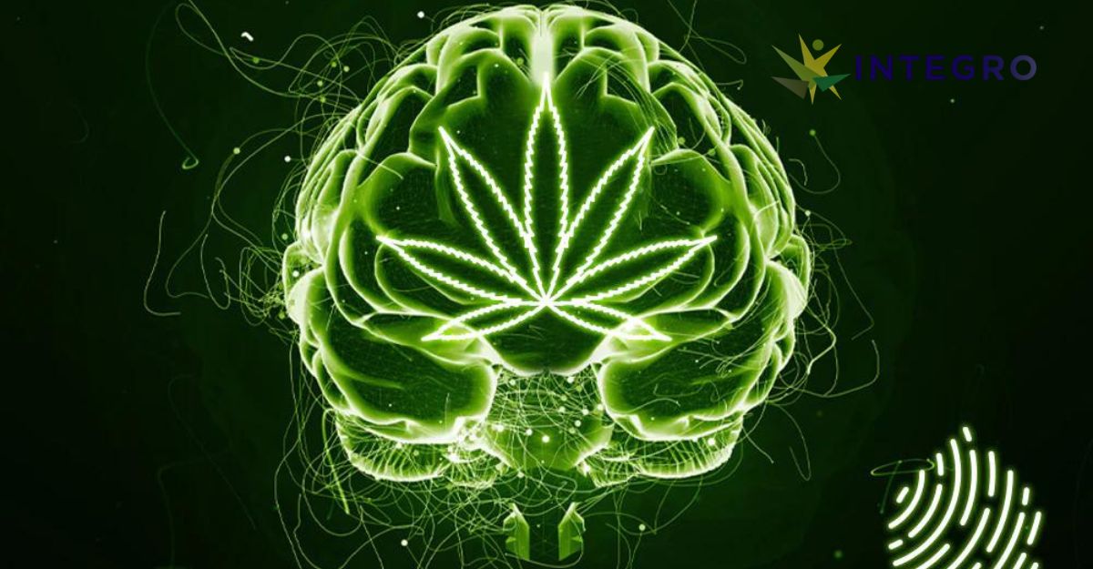 Exploring High Cannabis and Alternative Therapies for PTSD